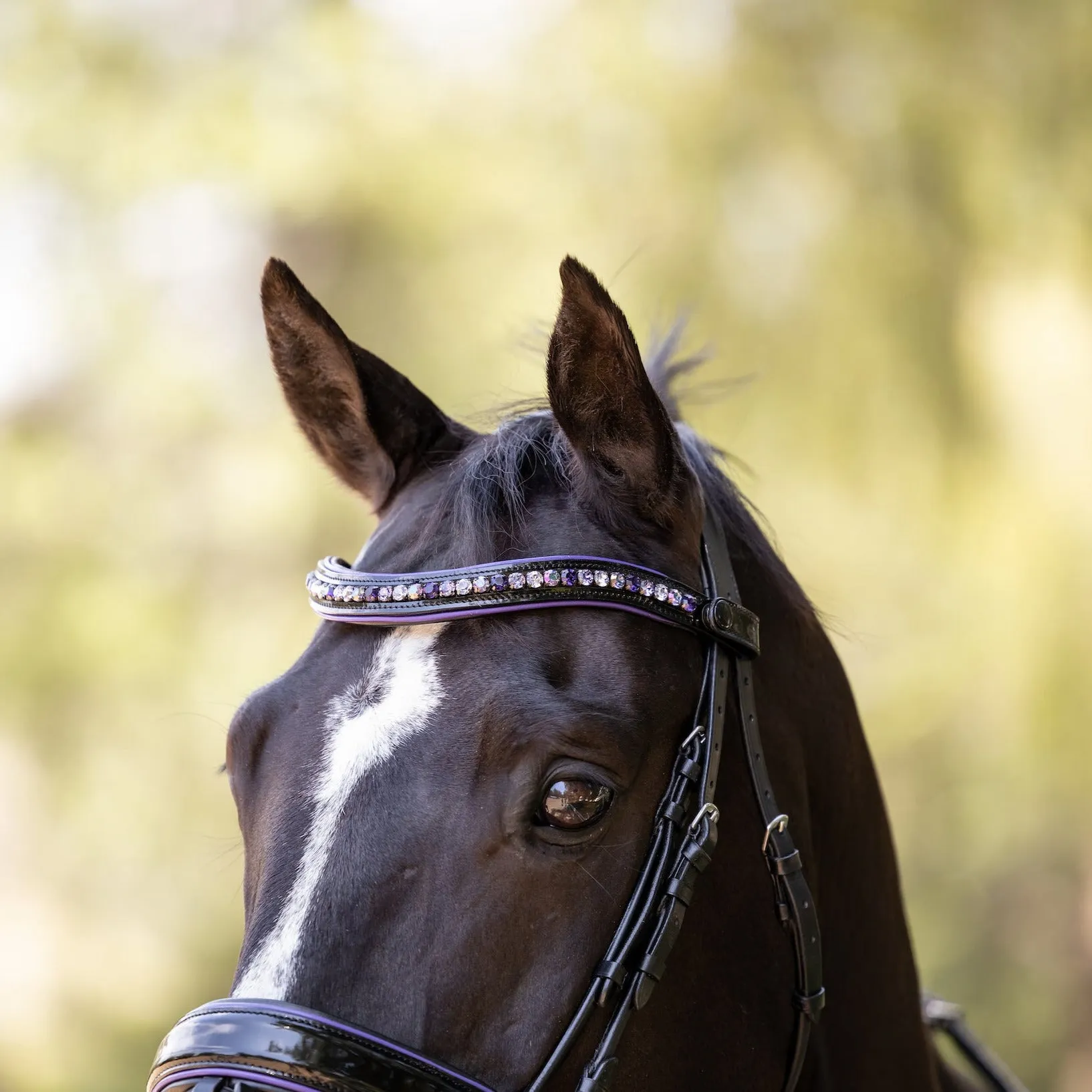 Purple Rain Snaffle Bridle